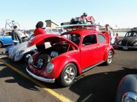 61 Bug with toy on rack