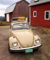 1968 beige bug