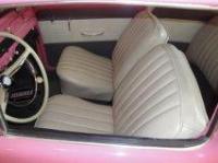 vw pink