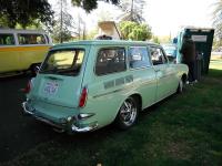 Green Squareback