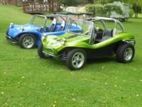 My blue Buggy and Davids Green buggy