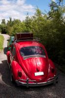 Beetle VW type1 - 1966