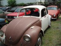 72 Beetle Rusty