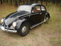 Original 1960 beetle found in Montana