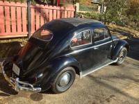 Some of the projects I am involved in... 1957 Beetle