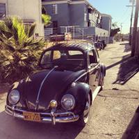 1962 Beetle.