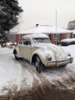 1965 beetle