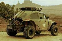 radical baja bugs