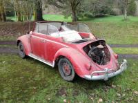 barn find 1956 Convertible VW Bug