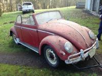 barn find 1956 Convertible VW Bug