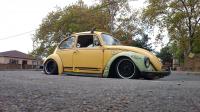 Bumblebee Slammed Beetle