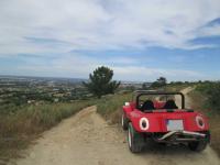 buggy and windmills