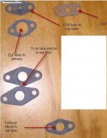 EGR Gaskets