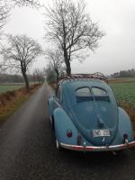 vw splitbeetle 1950