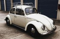 my recently restored 1966 bug