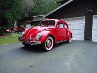 1963 beetle