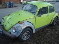 1974 Ravenna Green Love bug