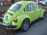 1974 Ravenna Green Love bug