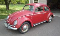 VW Beetle