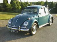 Our 66 bug
