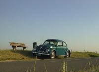 Our 66 bug