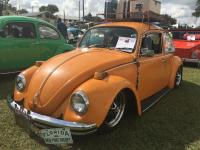 Florida Bug Jam 2015