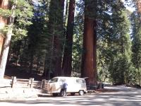 71 westy at Yosemite 2016