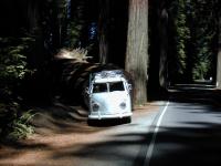 Avenue of the Giants, South of Eureka, CA