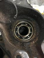 Rear Hub Bearing