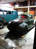 53 beetle rescue