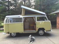 Sunny the volkswagen bus