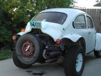 Baja bug