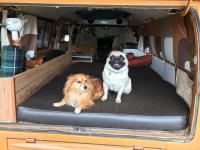 Stripping the interior of my 72 kombi