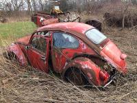Forgotten VW's Rusting away