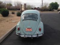 1965 original paint beetle