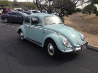1965 original paint beetle