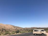 Joshua Tree & Buss