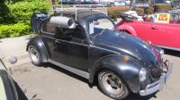Bugs at Lakeport Camp & Shine 2017