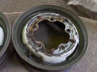 palm green sand green bus wheel crow foot