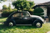 1954 Ragtop Beetle