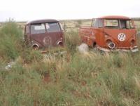 Single cabs sitting in a field