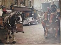 Vintage VW Calendar Images