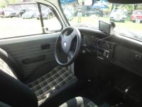 2001 Mexican Beetle