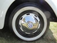 2001 Mexican Beetle