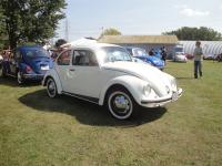 2001 Mexican Beetle