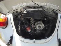 2001 Mexican Beetle