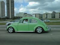 My Buddies bug from Houston