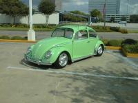 My Buddies bug from Houston