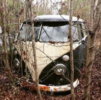 Abandoned and Neglected VW...