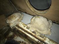 1964 Ghia body bolts and sound socks
